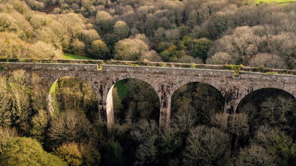 Viaduct Appeal Founder